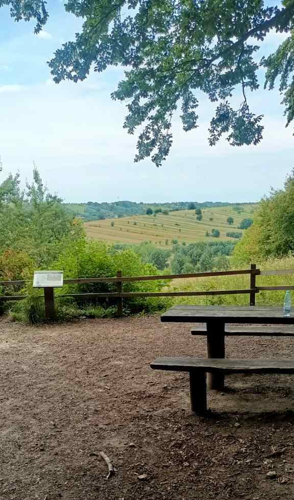 Taras na Górze Bukowej