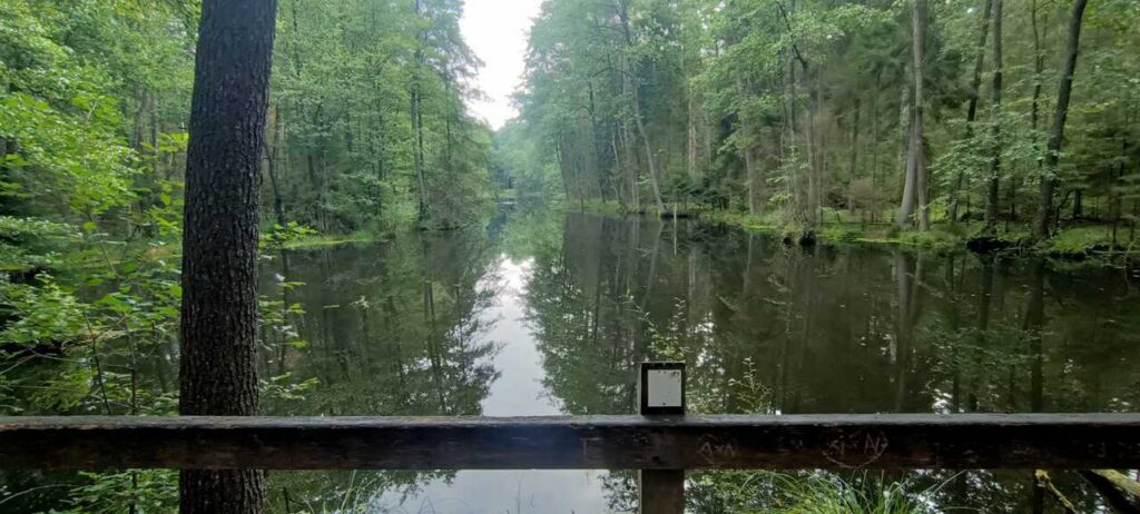 Czarny Staw, Zwierzyniec